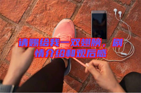 請(qǐng)賜給我一雙翅膀，劇情介紹和觀后感