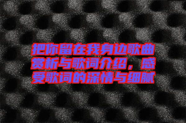 把你留在我身邊歌曲賞析與歌詞介紹，感受歌詞的深情與細(xì)膩