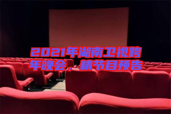 2021年湖南衛(wèi)視跨年晚會，精節(jié)目預(yù)告
