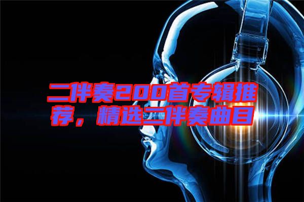 二伴奏200首專輯推薦，精選二伴奏曲目