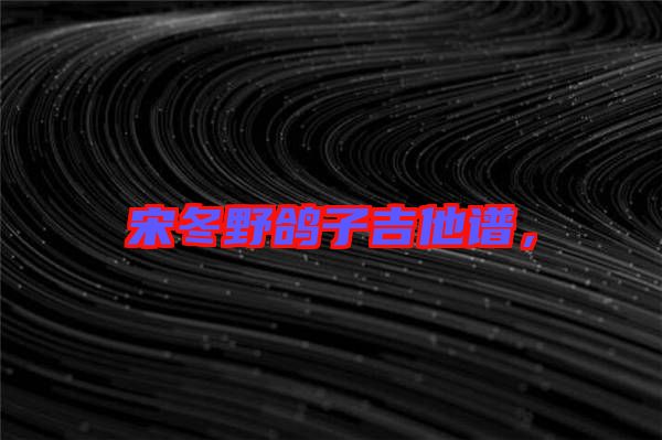 宋冬野鴿子吉他譜，