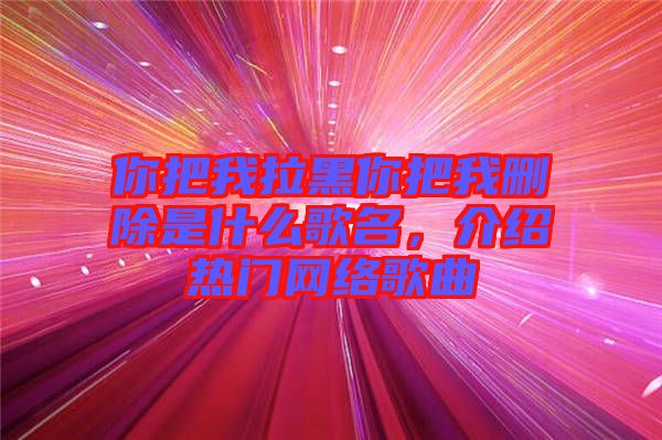你把我拉黑你把我刪除是什么歌名，介紹熱門(mén)網(wǎng)絡(luò)歌曲