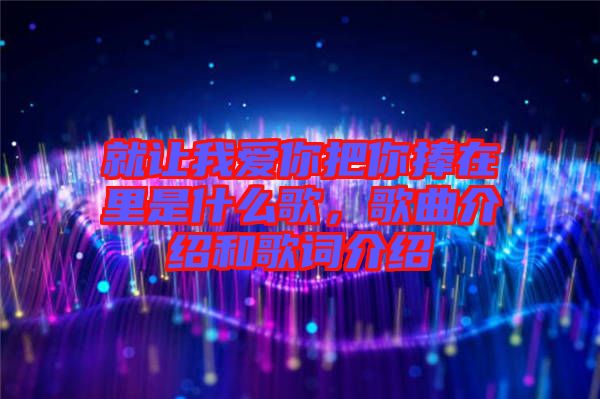就讓我愛你把你捧在里是什么歌，歌曲介紹和歌詞介紹