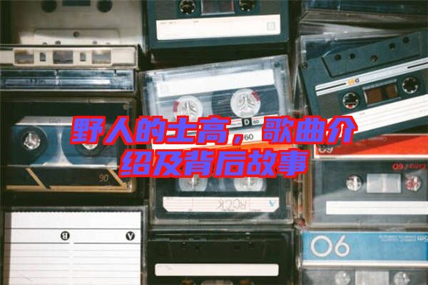 野人的士高，歌曲介紹及背后故事