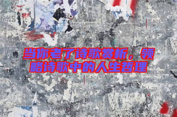 當(dāng)你老了詩歌賞析，領(lǐng)略詩歌中的人生哲理