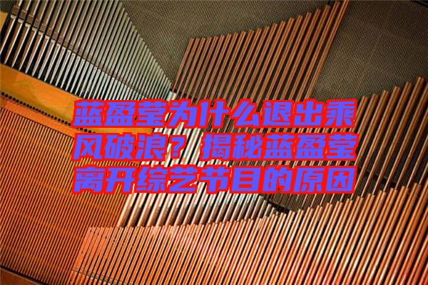 藍(lán)盈瑩為什么退出乘風(fēng)破浪？揭秘藍(lán)盈瑩離開綜藝節(jié)目的原因