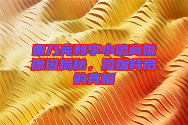 賈乃亮和李小璐離婚原因揭秘，婚姻背后的真相