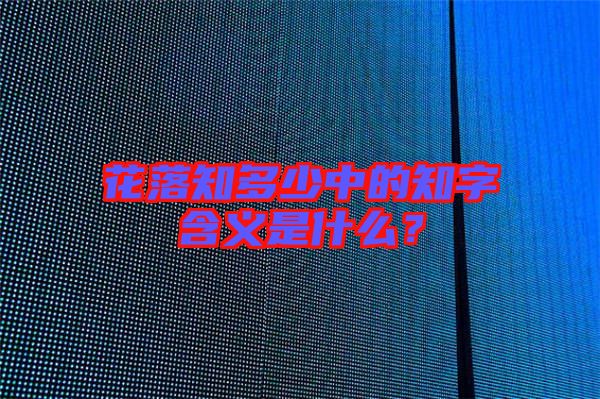 花落知多少中的知字含義是什么？