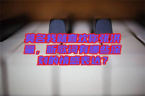 莫名我就喜歡你張洪量，聽歌詞有哪些深刻的情感表達(dá)？