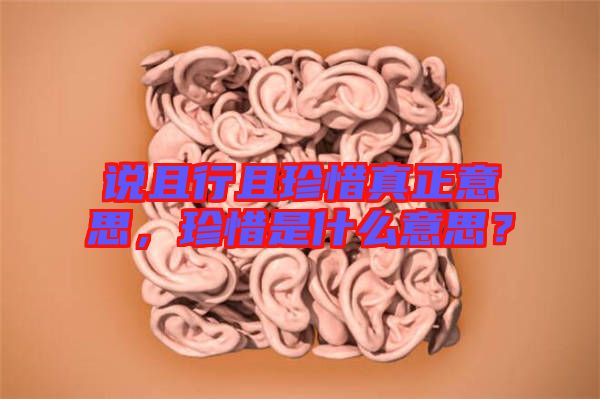 說(shuō)且行且珍惜真正意思，珍惜是什么意思？
