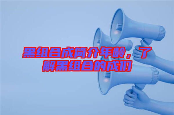 黑組合成簡(jiǎn)介年齡，了解黑組合的成們
