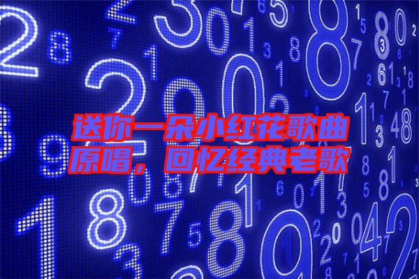 送你一朵小紅花歌曲原唱，回憶經(jīng)典老歌