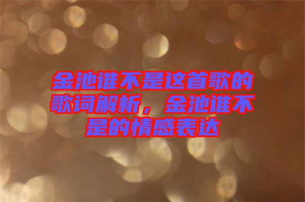 金池誰不是這首歌的歌詞解析，金池誰不是的情感表達