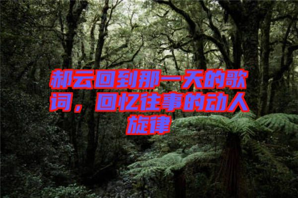 郝云回到那一天的歌詞，回憶往事的動人旋律
