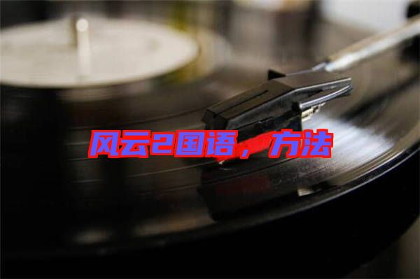 風(fēng)云2國語，方法