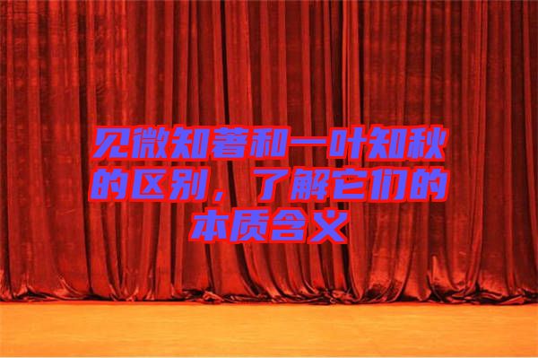 見微知著和一葉知秋的區(qū)別，了解它們的本質(zhì)含義