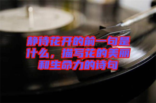 靜待花開的前一句是什么，描寫花的美麗和生命力的詩句