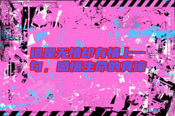道是無情卻有情上一句，感悟生命的真諦
