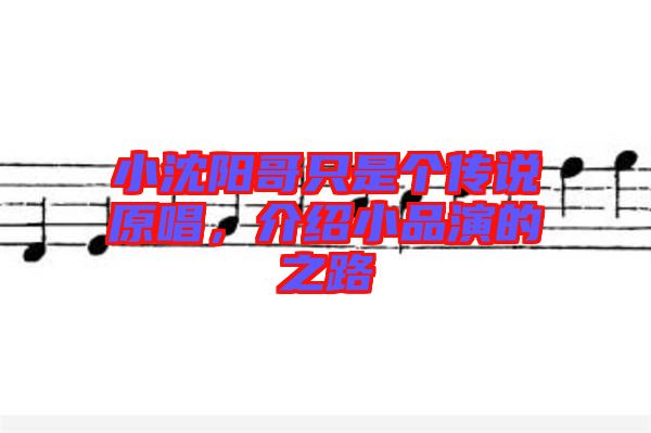小沈陽哥只是個傳說原唱，介紹小品演的之路