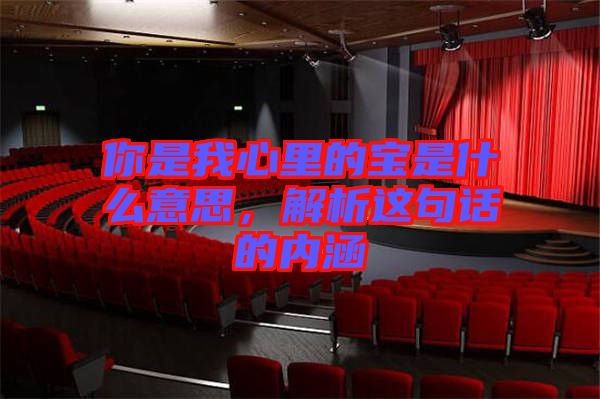 你是我心里的寶是什么意思，解析這句話的內(nèi)涵