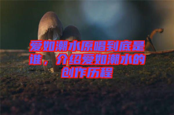 愛如潮水原唱到底是誰，介紹愛如潮水的創(chuàng)作歷程