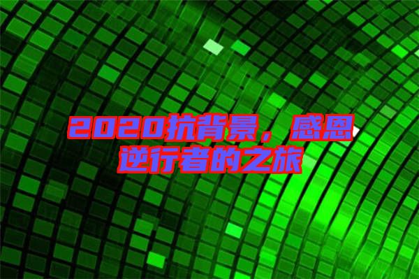 2020抗背景，感恩逆行者的之旅