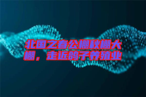 北國(guó)之春公棚秋棚大棚，走近鴿子養(yǎng)殖業(yè)