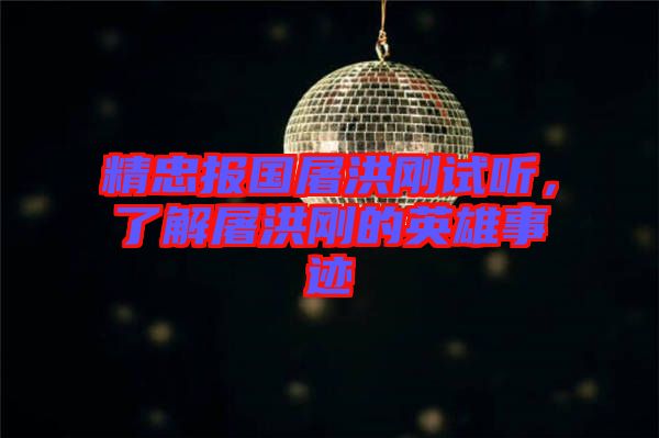 精忠報國屠洪剛試聽，了解屠洪剛的英雄事跡
