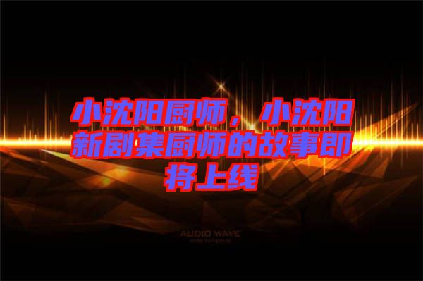 小沈陽廚師，小沈陽新劇集廚師的故事即將上線