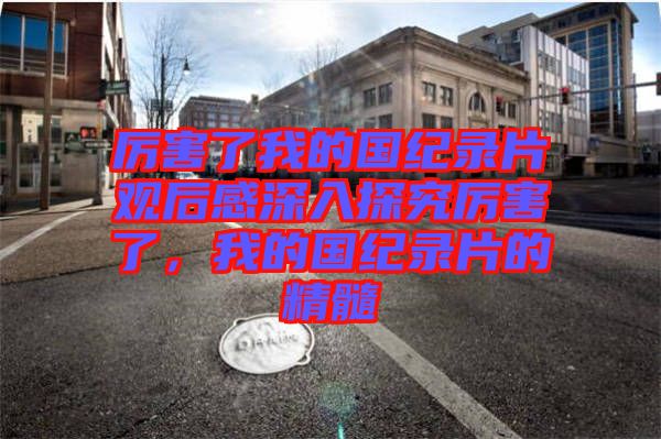 厲害了我的國(guó)紀(jì)錄片觀后感深入探究厲害了，我的國(guó)紀(jì)錄片的精髓