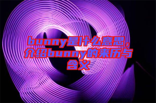 bunny是什么意思，介紹bunny的來(lái)歷與含義