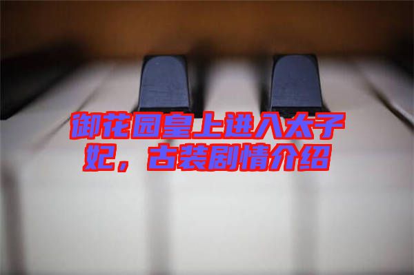 御花園皇上進(jìn)入太子妃，古裝劇情介紹