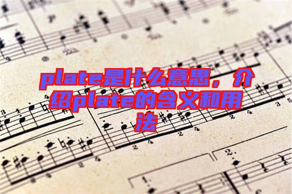 plate是什么意思，介紹plate的含義和用法