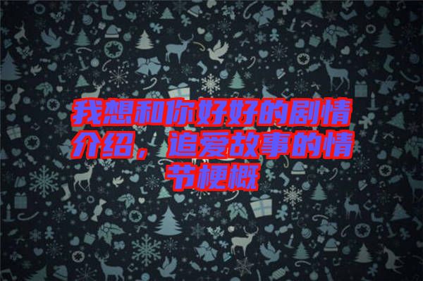 我想和你好好的劇情介紹，追愛(ài)故事的情節(jié)梗概