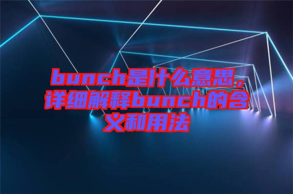 bunch是什么意思，詳細(xì)解釋bunch的含義和用法