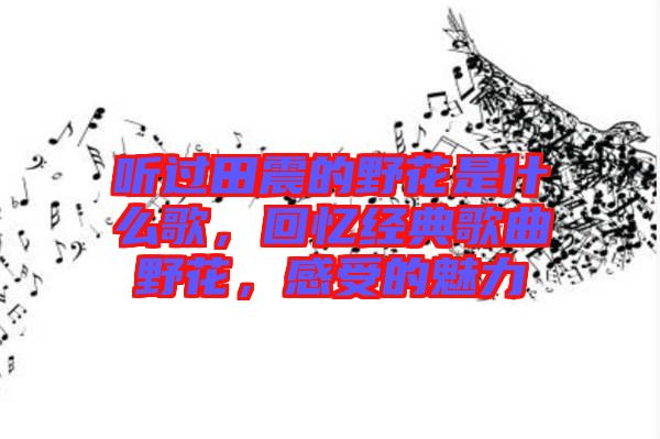 聽過田震的野花是什么歌，回憶經(jīng)典歌曲野花，感受的魅力