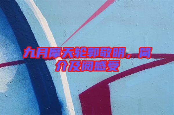 九月摩天輪郭敬明，簡介及閱感受