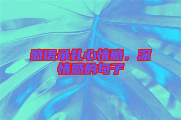 感語錄扎心情感，深情感的句子