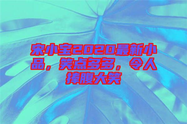 宋小寶2020最新小品，笑點多多，令人捧腹大笑
