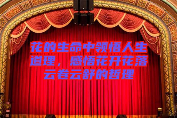 花的生命中領(lǐng)悟人生道理，感悟花開(kāi)花落云卷云舒的哲理
