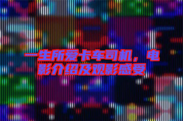 一生所愛(ài)卡車(chē)司機(jī)，電影介紹及觀影感受