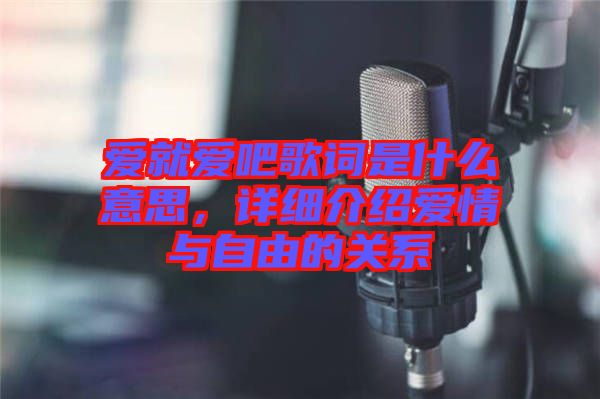 愛就愛吧歌詞是什么意思，詳細介紹愛情與自由的關系