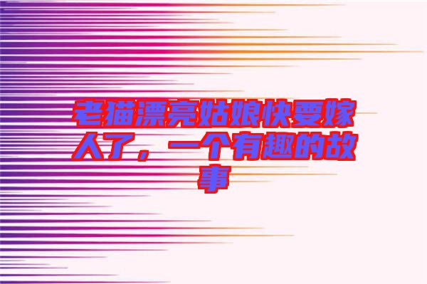 老貓漂亮姑娘快要嫁人了，一個(gè)有趣的故事