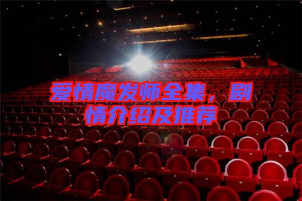 愛情魔發(fā)師全集，劇情介紹及推薦