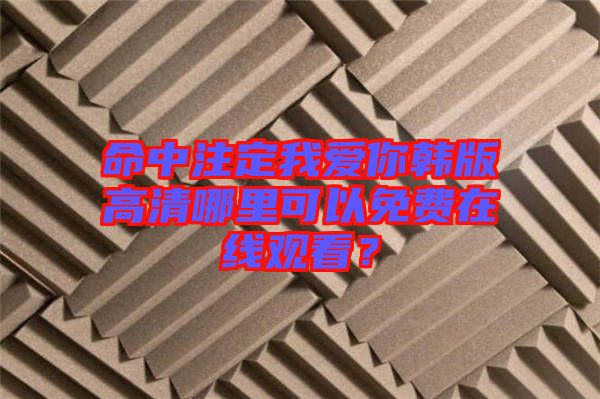 命中注定我愛(ài)你韓版高清哪里可以免費(fèi)在線觀看？