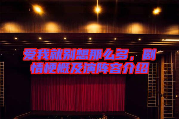 愛我就別想那么多，劇情梗概及演陣容介紹