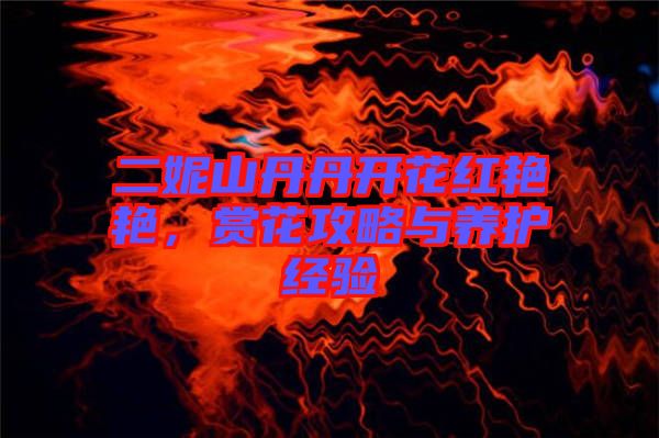 二妮山丹丹開花紅艷艷，賞花攻略與養(yǎng)護(hù)經(jīng)驗