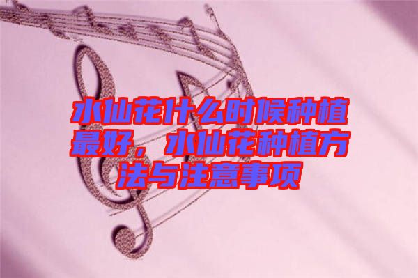 水仙花什么時候種植最好，水仙花種植方法與注意事項