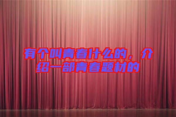 有個叫青春什么的，介紹一部青春題材的