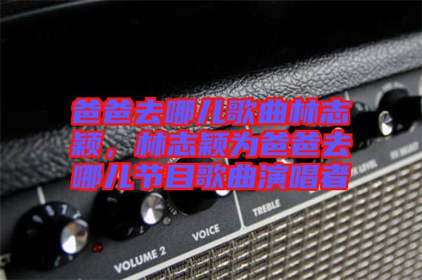 爸爸去哪兒歌曲林志穎，林志穎為爸爸去哪兒節(jié)目歌曲演唱者